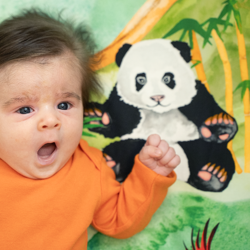 Close up of a yawning baby laying on a panda themed crib sheet